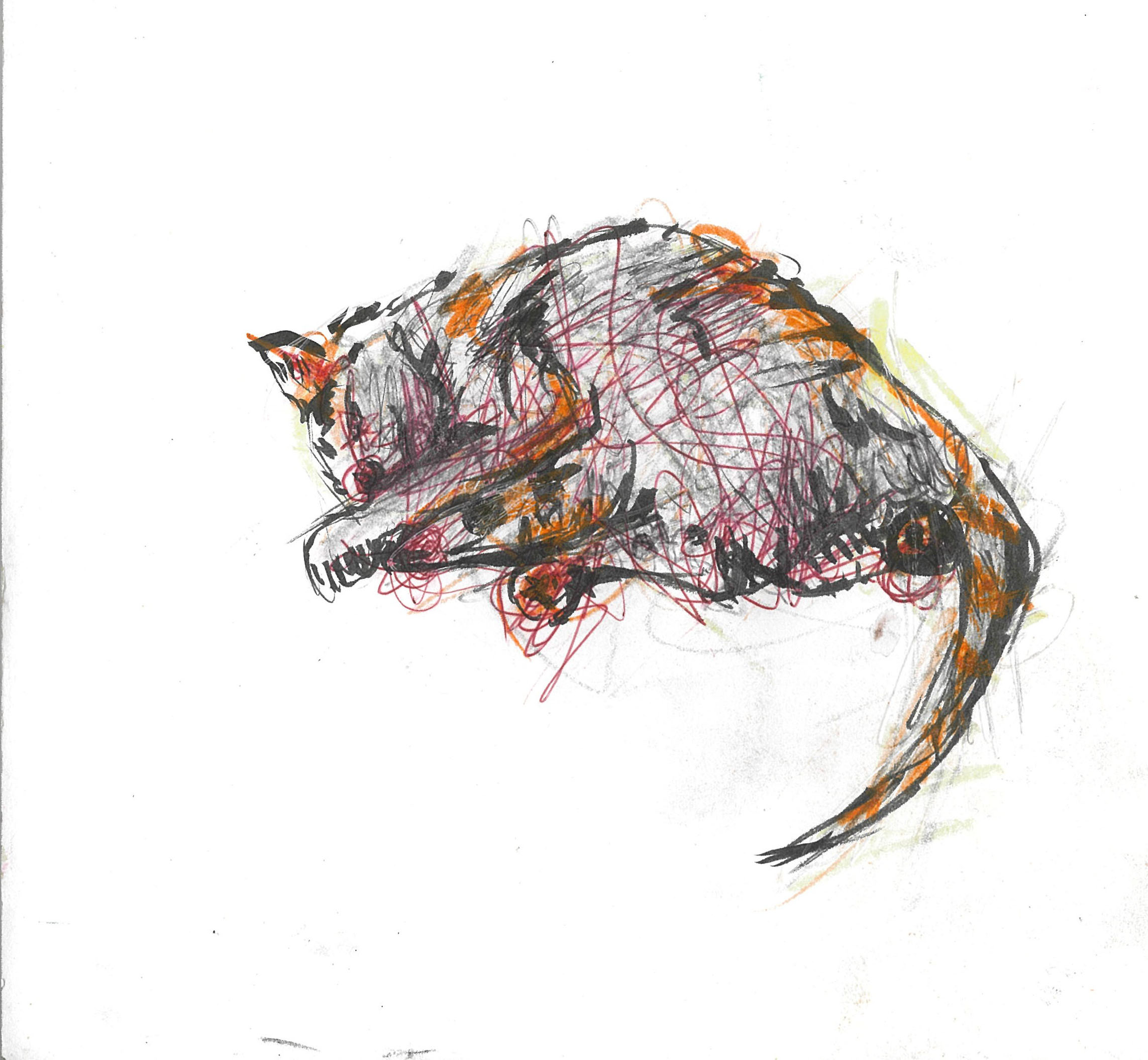 tolga burak fİlİz taramalar sayfa 003 görüntü 0001