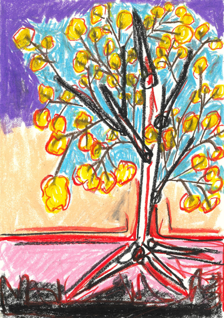 tolga burak fİlİz taramalar sayfa 012 görüntü 0001