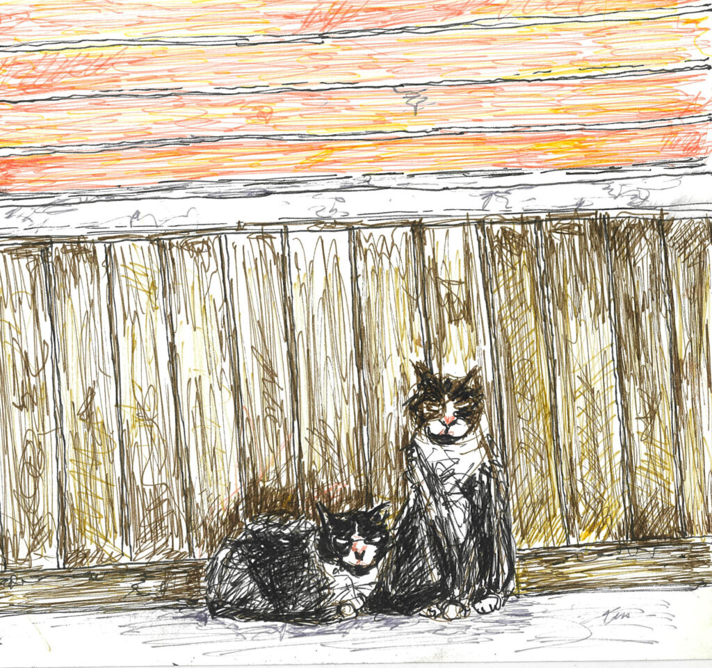 tolga burak fİlİz taramalar sayfa 093 görüntü 0001