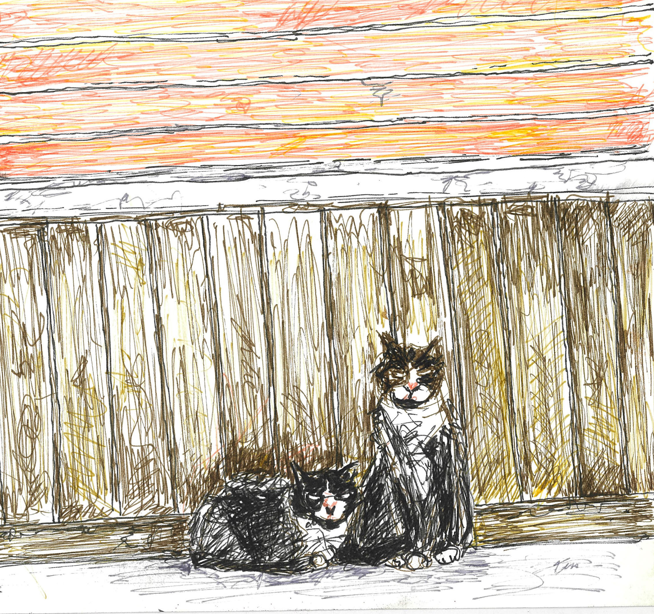 tolga burak fİlİz taramalar sayfa 093 görüntü 0001