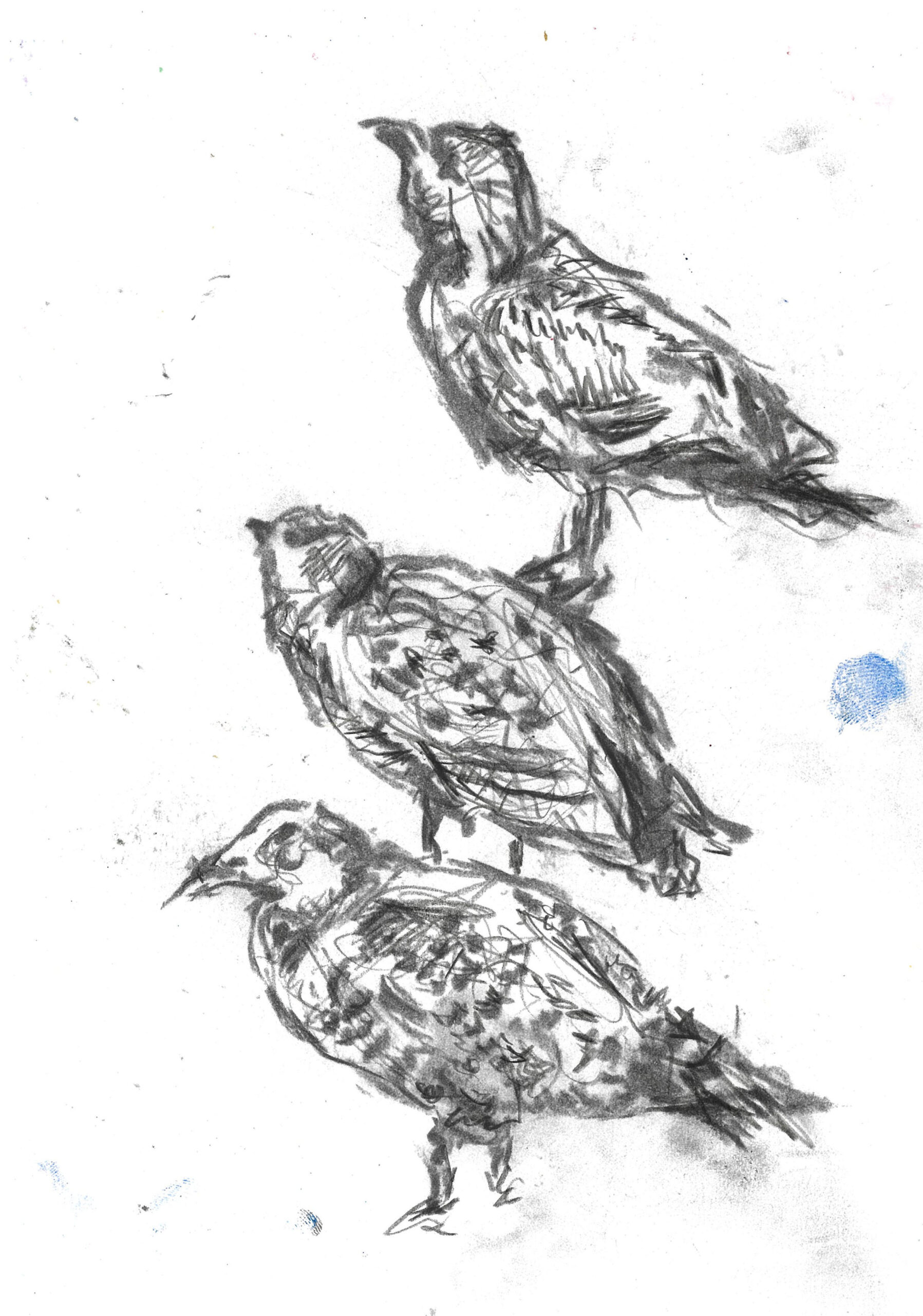 tolga burak fİlİz taramalar sayfa 123 görüntü 0001