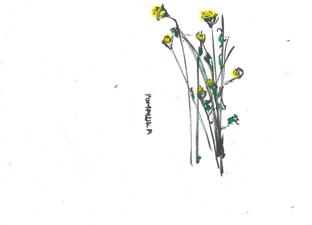 tolga burak fİlİz taramalar sayfa 127 görüntü 0001