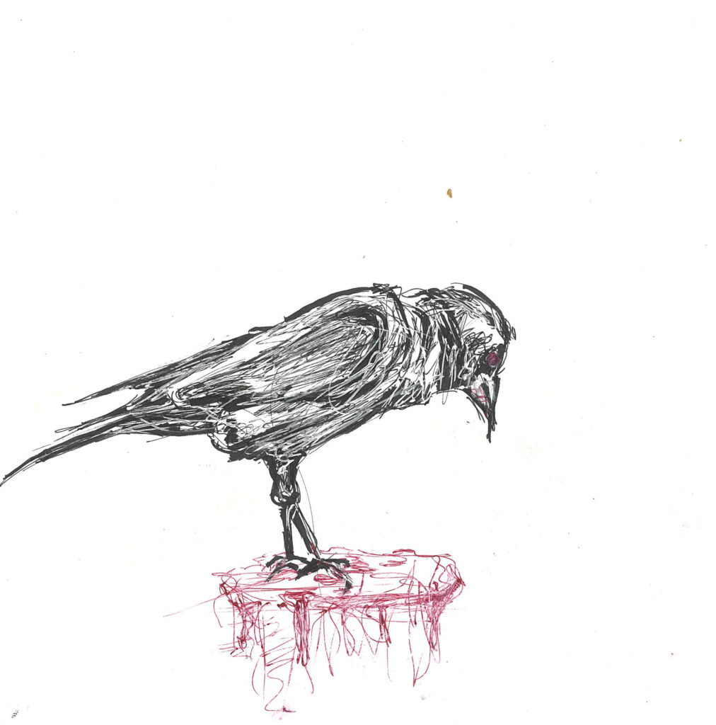 tolga burak fİlİz taramalar sayfa 140 görüntü 0001