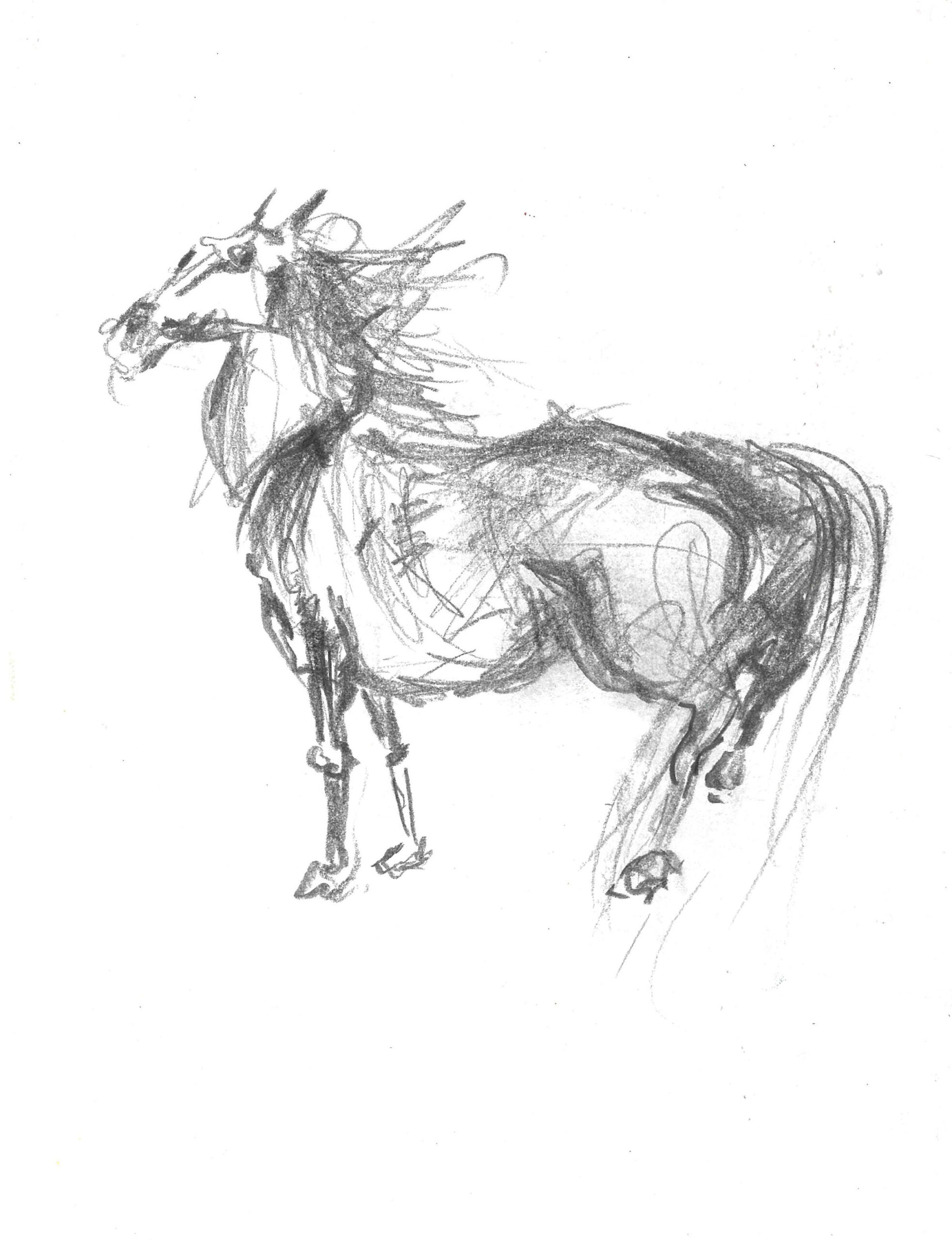 tolga burak fİlİz taramalar sayfa 142 görüntü 0001