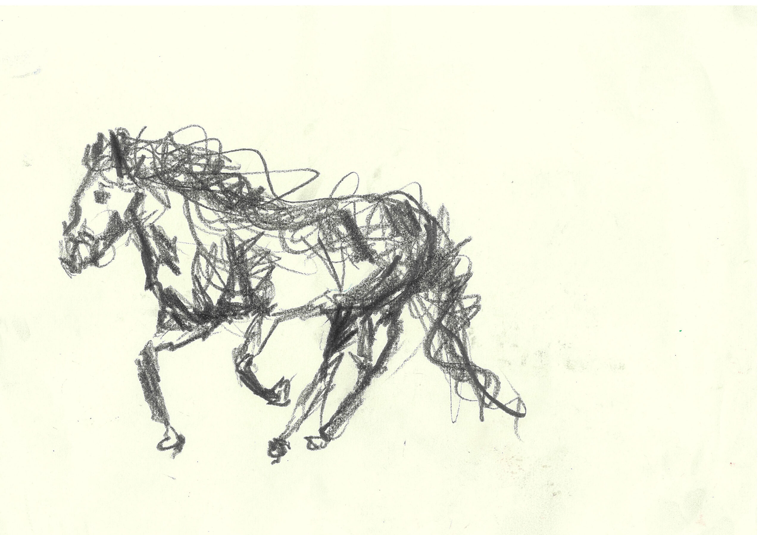 tolga burak fİlİz taramalar sayfa 143 görüntü 0001