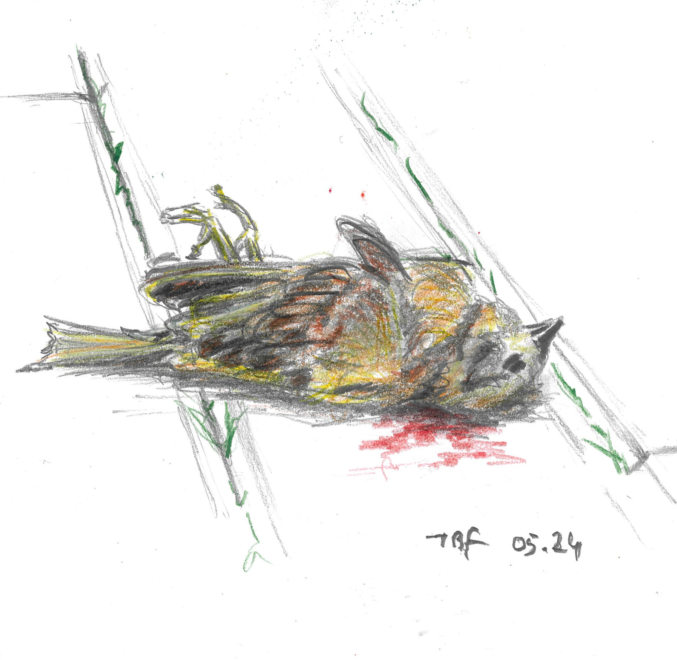 tolga burak fİlİz taramalar sayfa 158 görüntü 0001