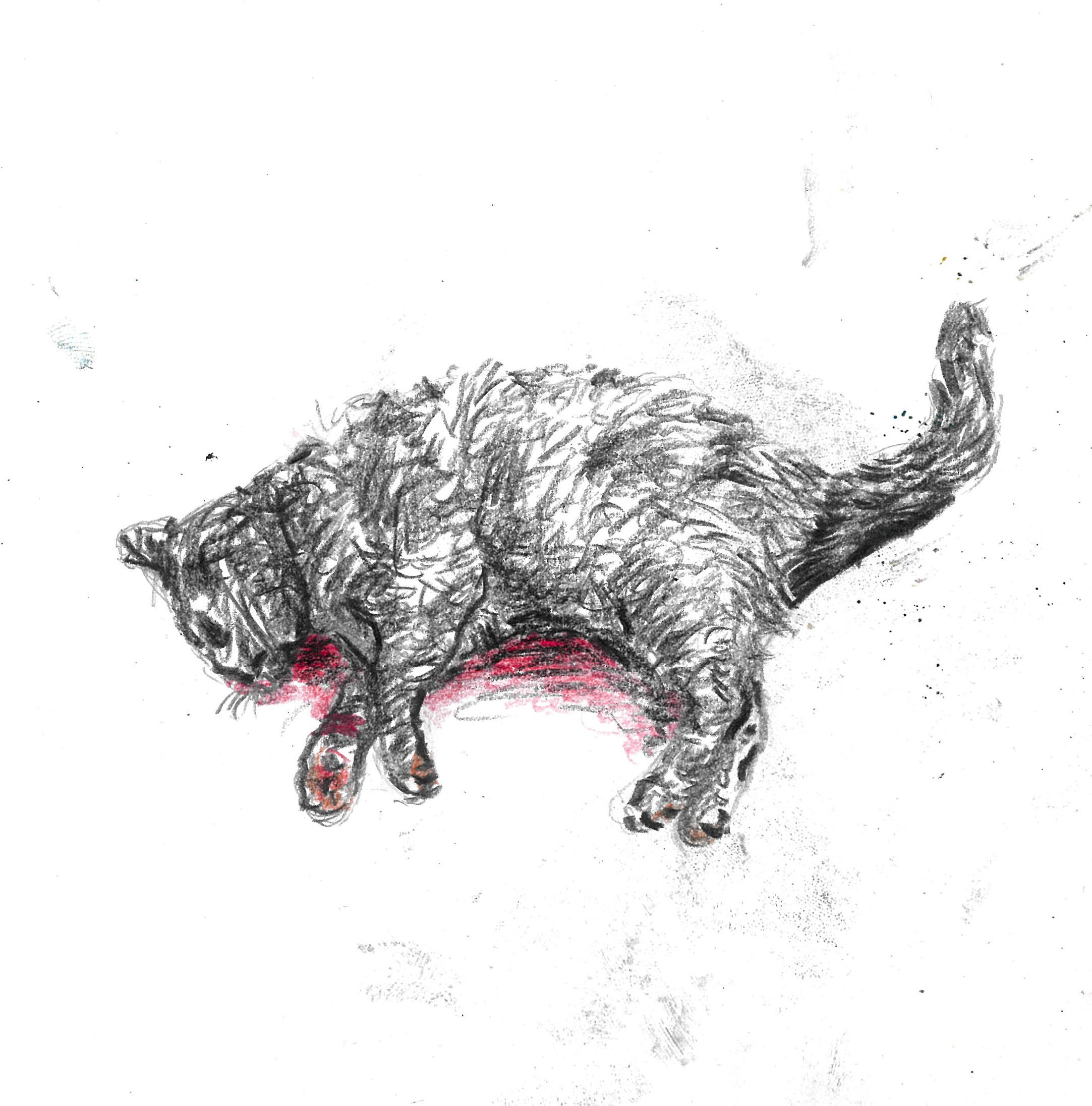 tolga burak fİlİz taramalar sayfa 161 görüntü 0001