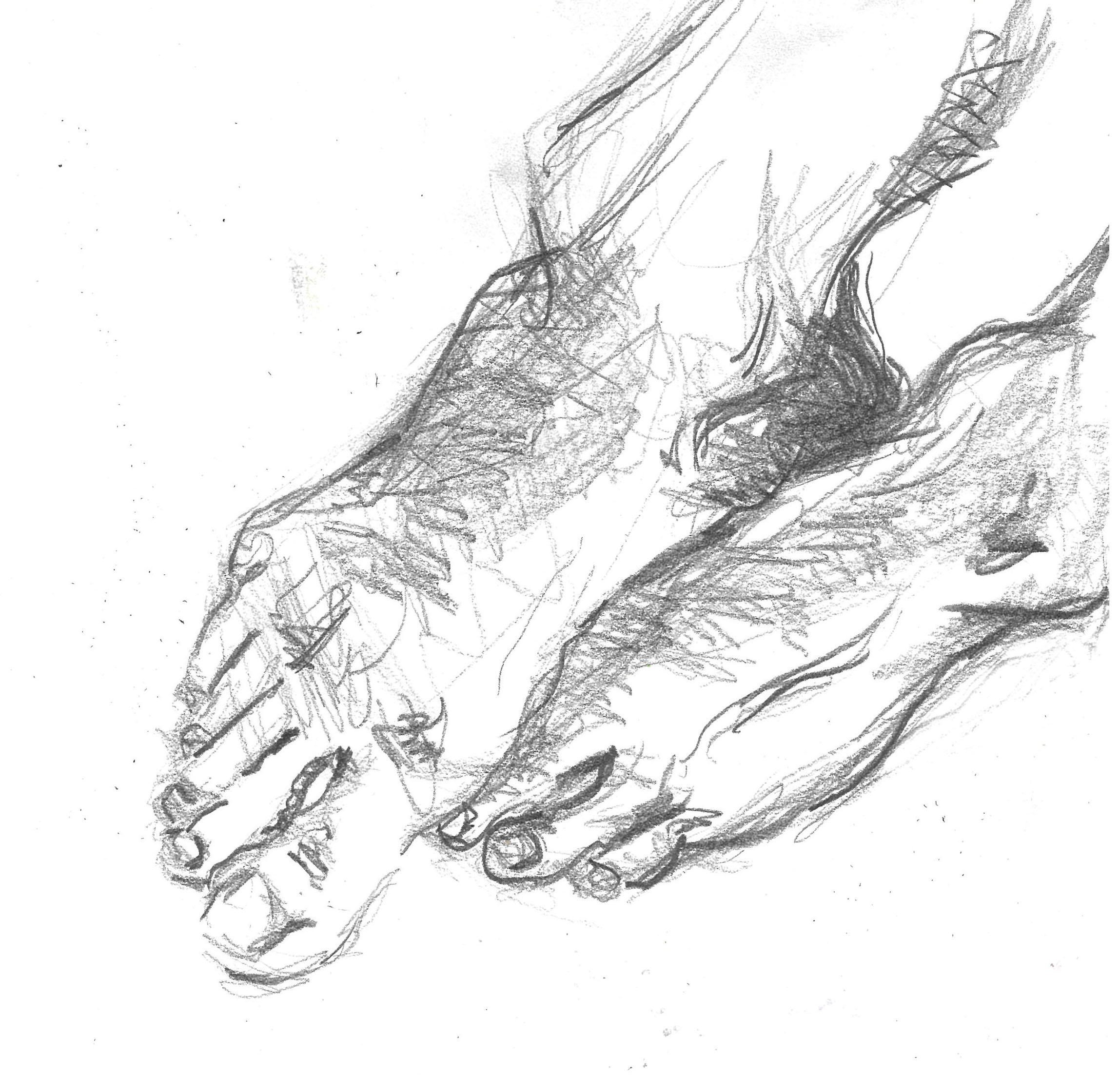 tolga burak fİlİz taramalar sayfa 162 görüntü 0001