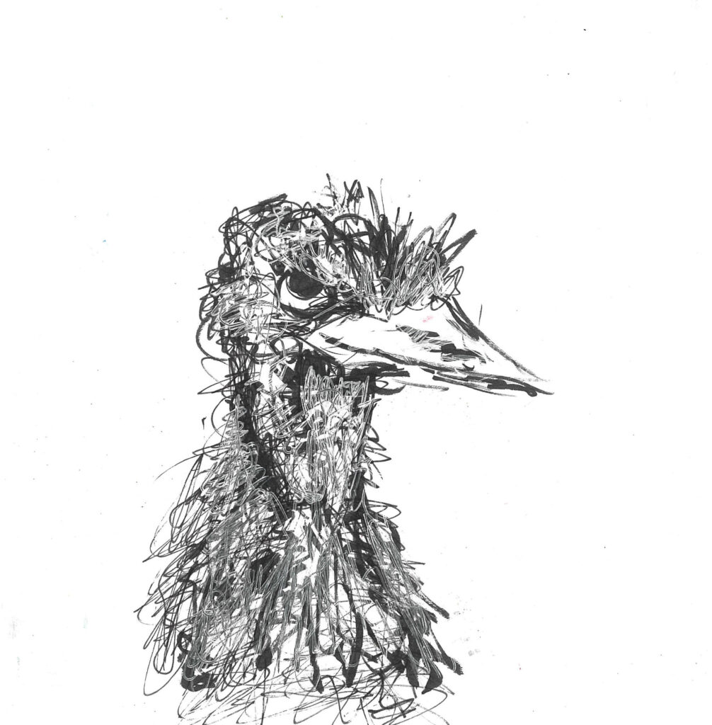 tolga burak fİlİz taramalar sayfa 171 görüntü 0001