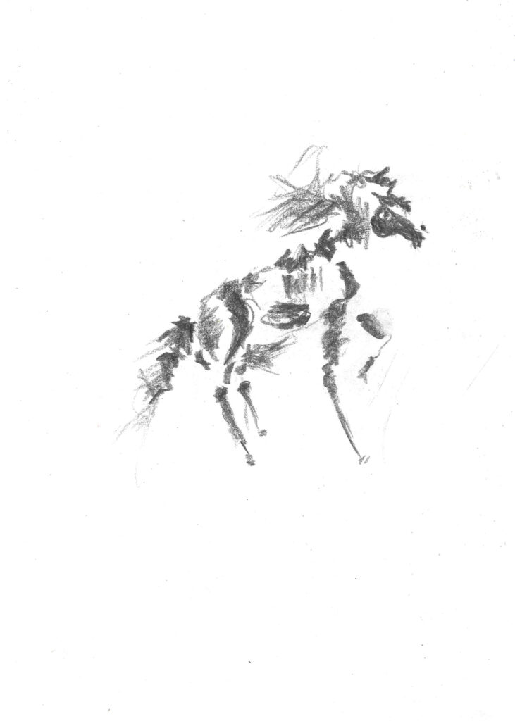 tolga burak fİlİz taramalar sayfa 172 görüntü 0001