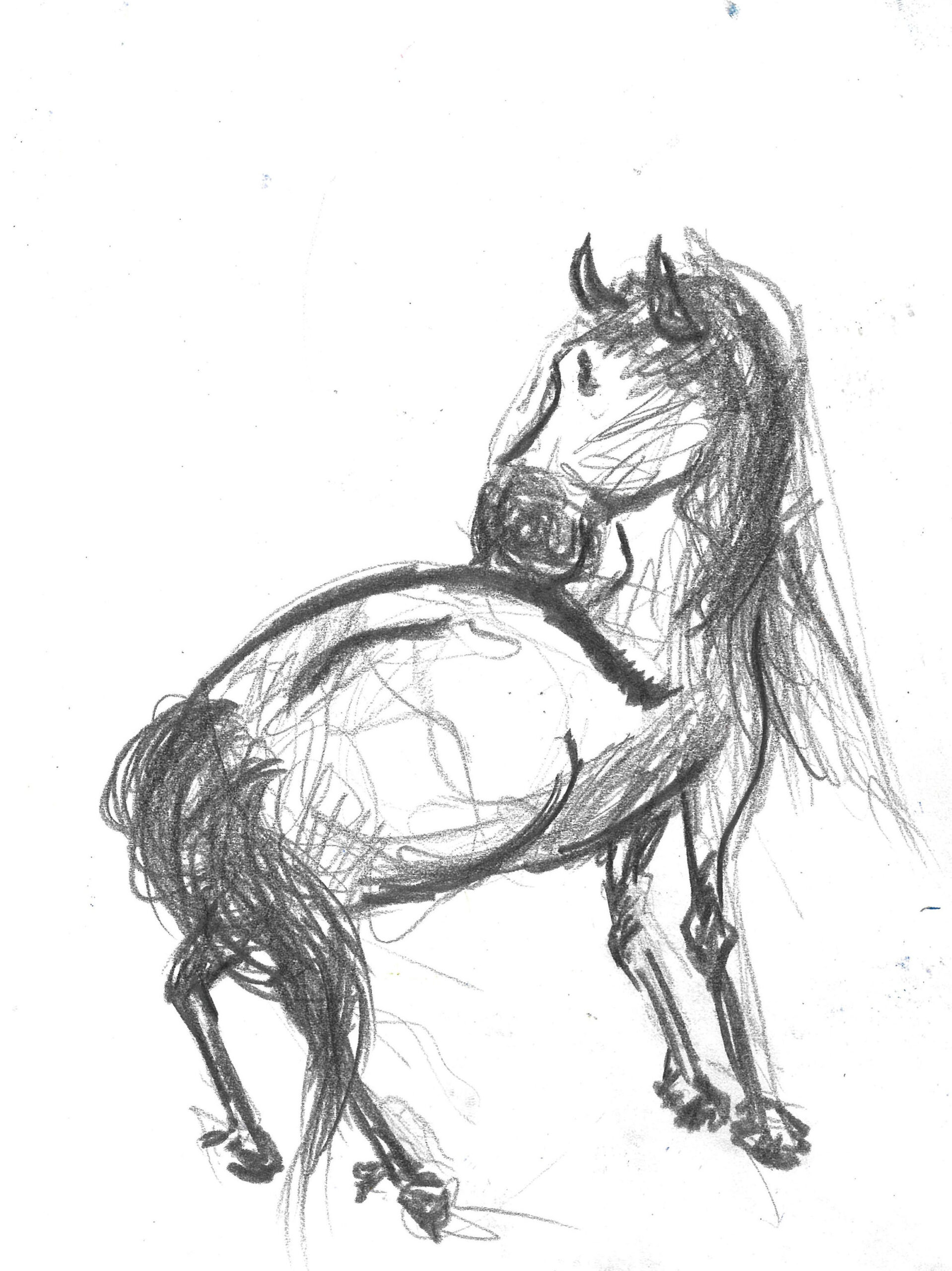 tolga burak fİlİz taramalar sayfa 173 görüntü 0001