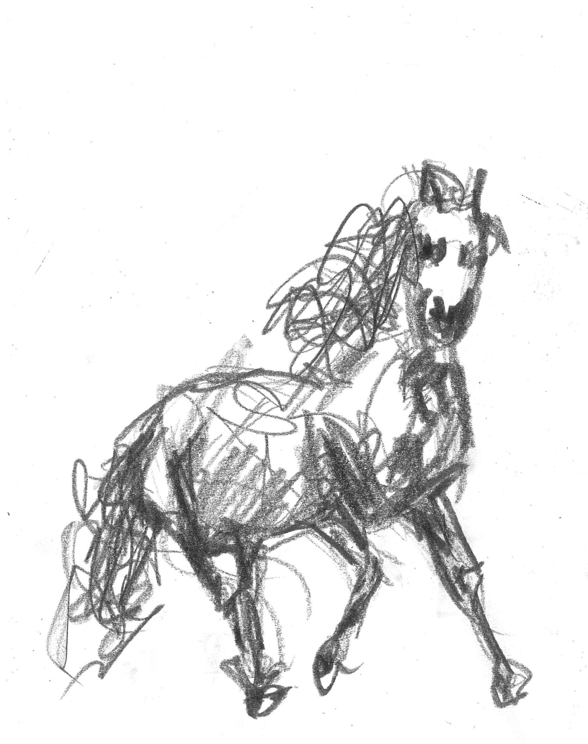 tolga burak fİlİz taramalar sayfa 174 görüntü 0001