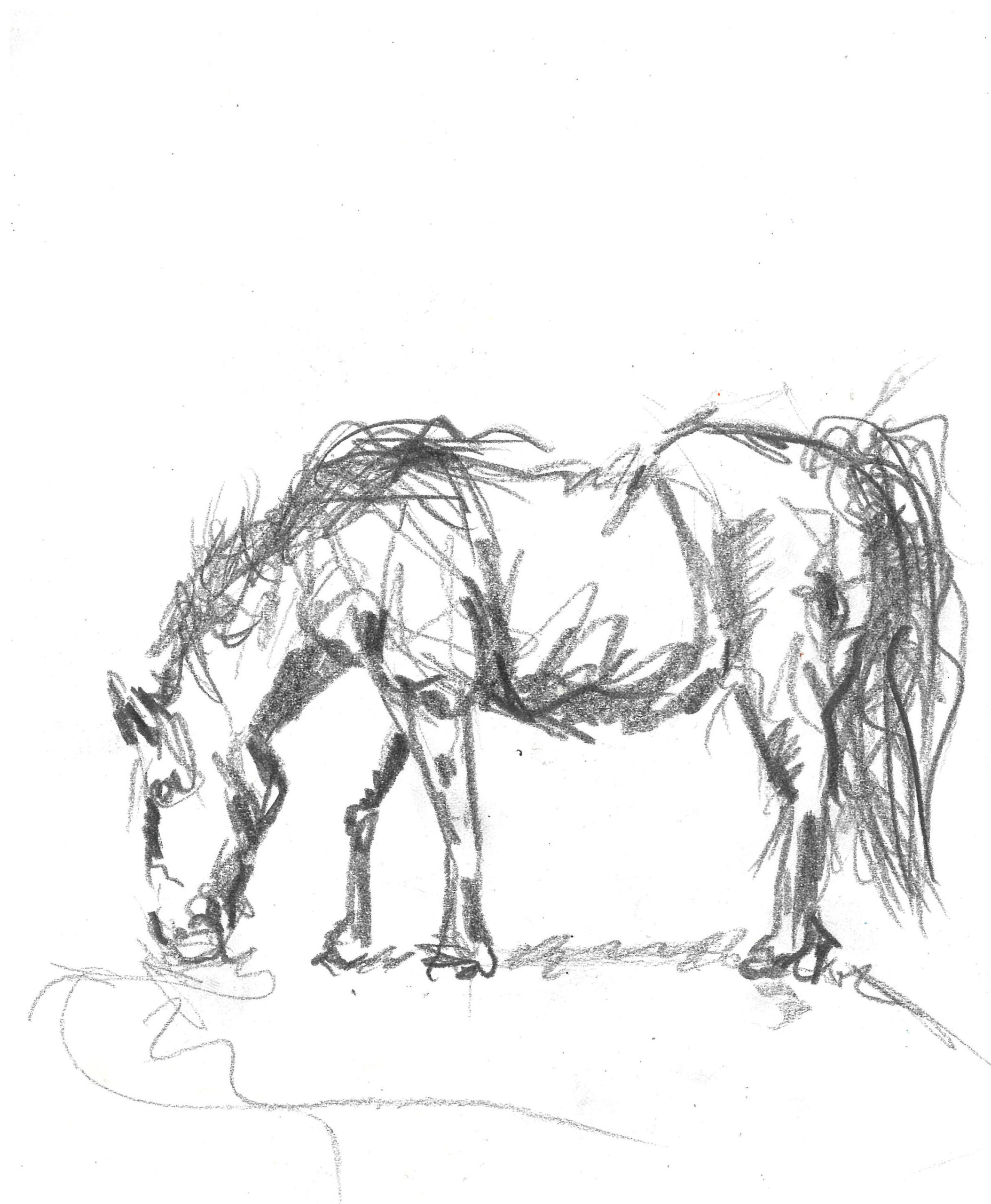 tolga burak fİlİz taramalar sayfa 177 görüntü 0001