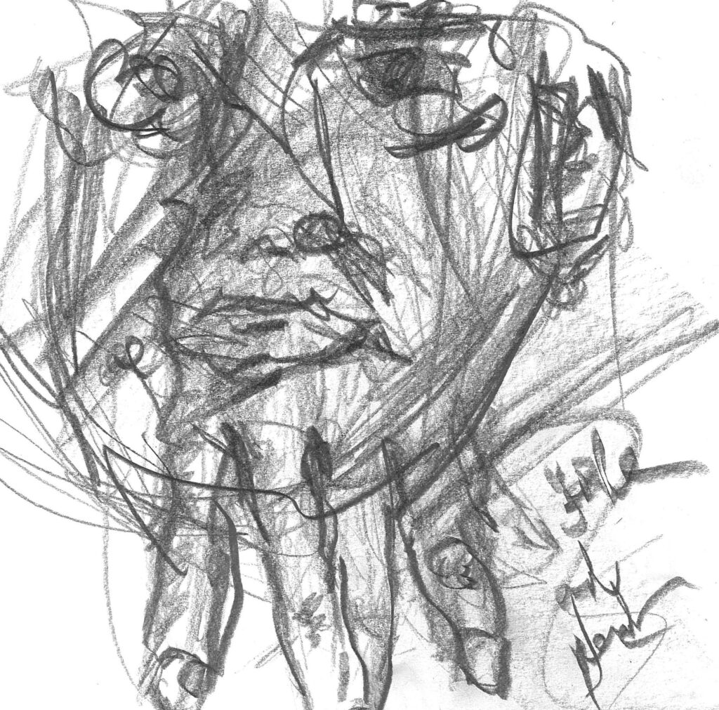 tolga burak fİlİz taramalar sayfa 219 görüntü 0001