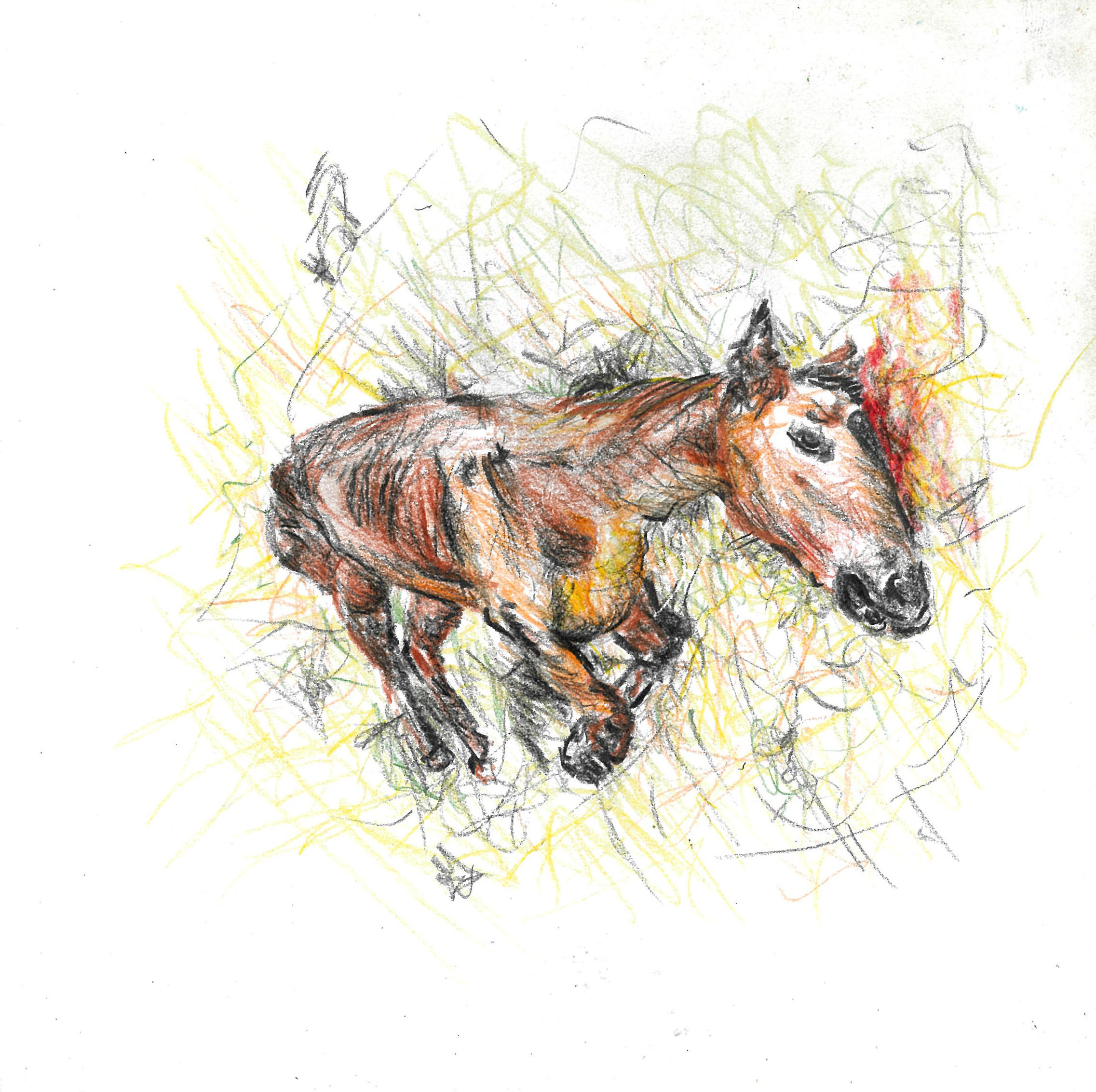 tolga burak fİlİz taramalar sayfa 244 görüntü 0001