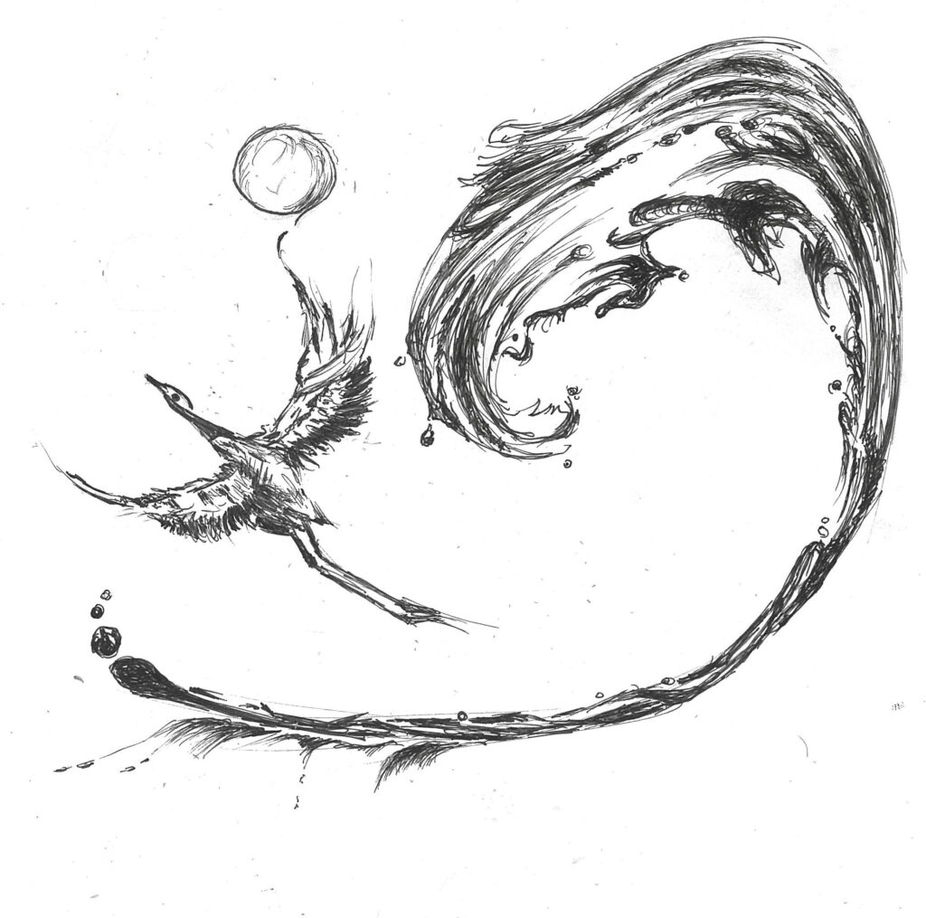 tolga burak fİlİz taramalar sayfa 249 görüntü 0001