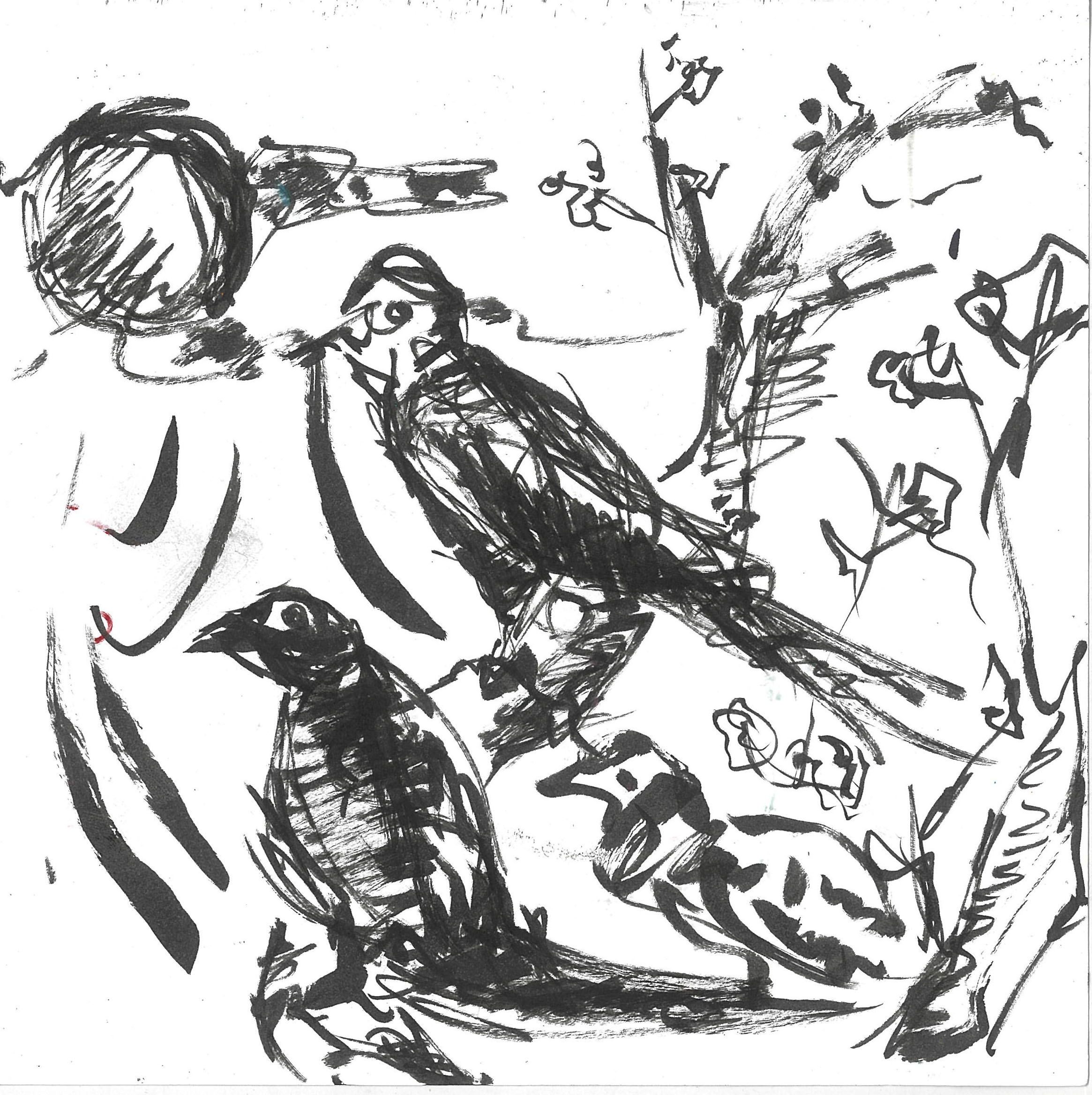 tolga burak fİlİz taramalar sayfa 262 görüntü 0001