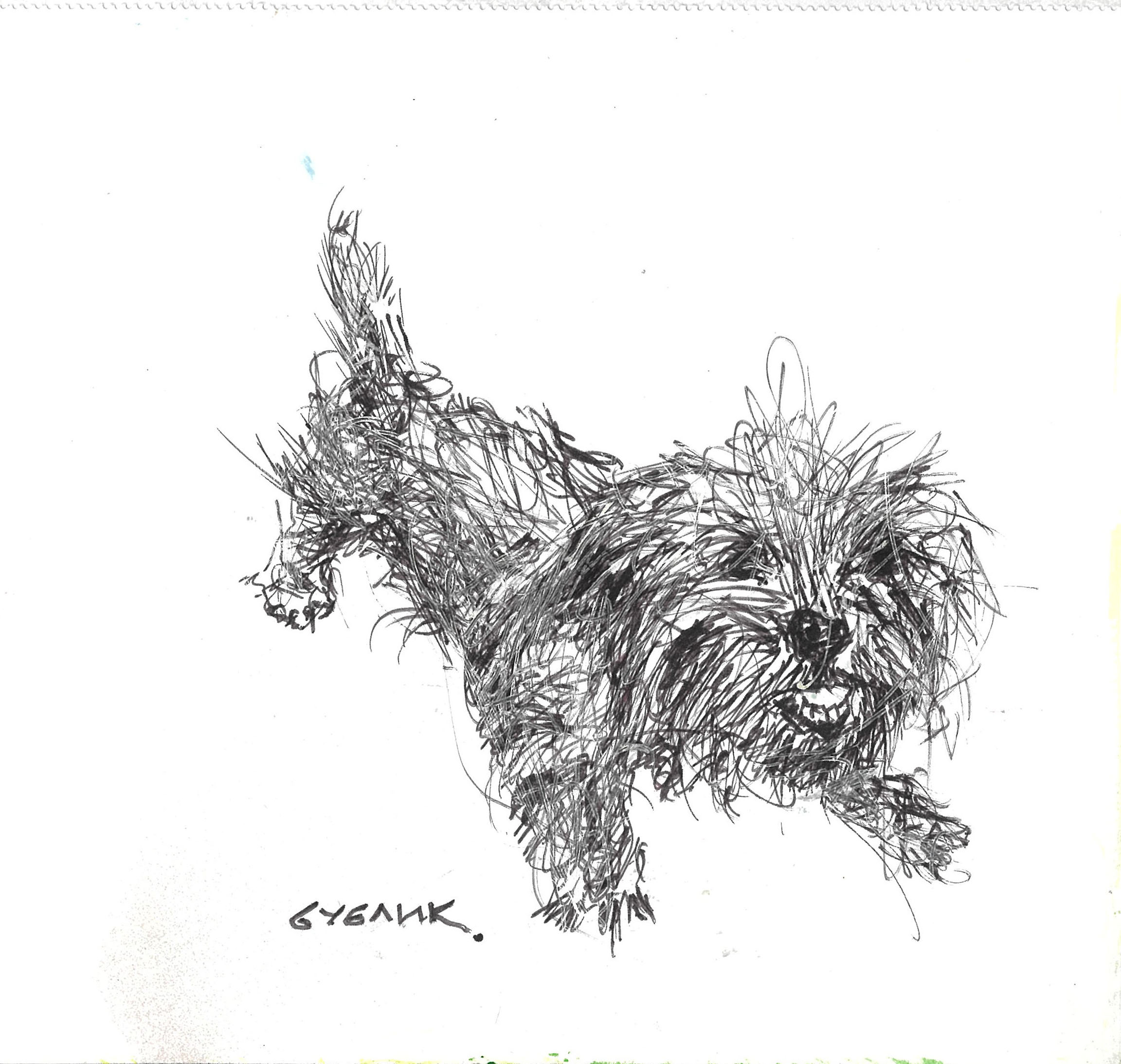 tolga burak fİlİz taramalar sayfa 271 görüntü 0001