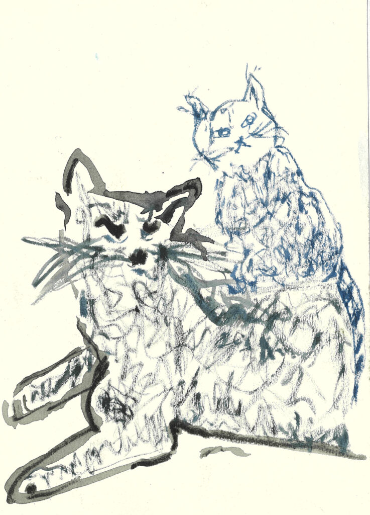 tolga burak fİlİz taramalar sayfa 301 görüntü 0001