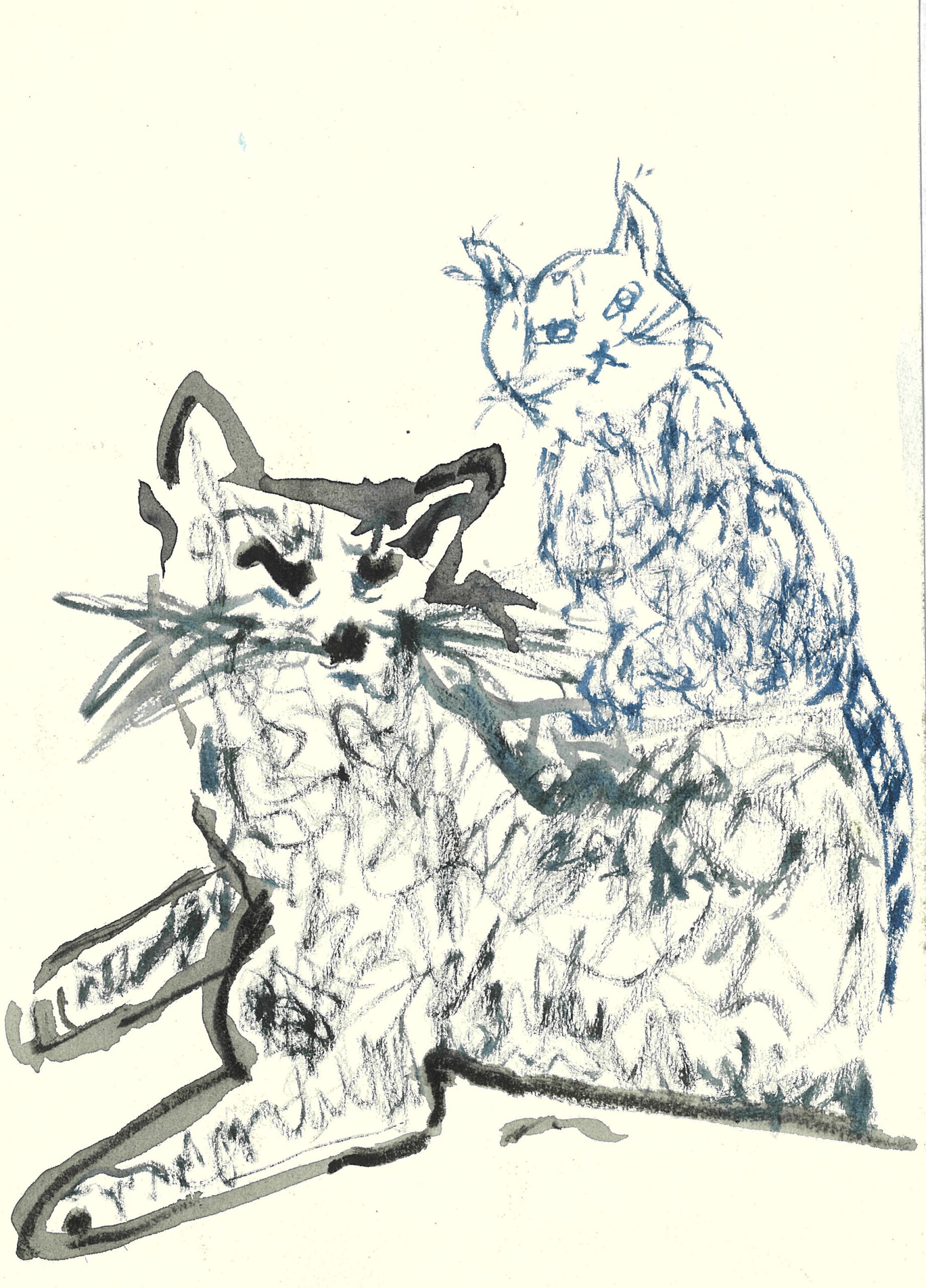 tolga burak fİlİz taramalar sayfa 301 görüntü 0001