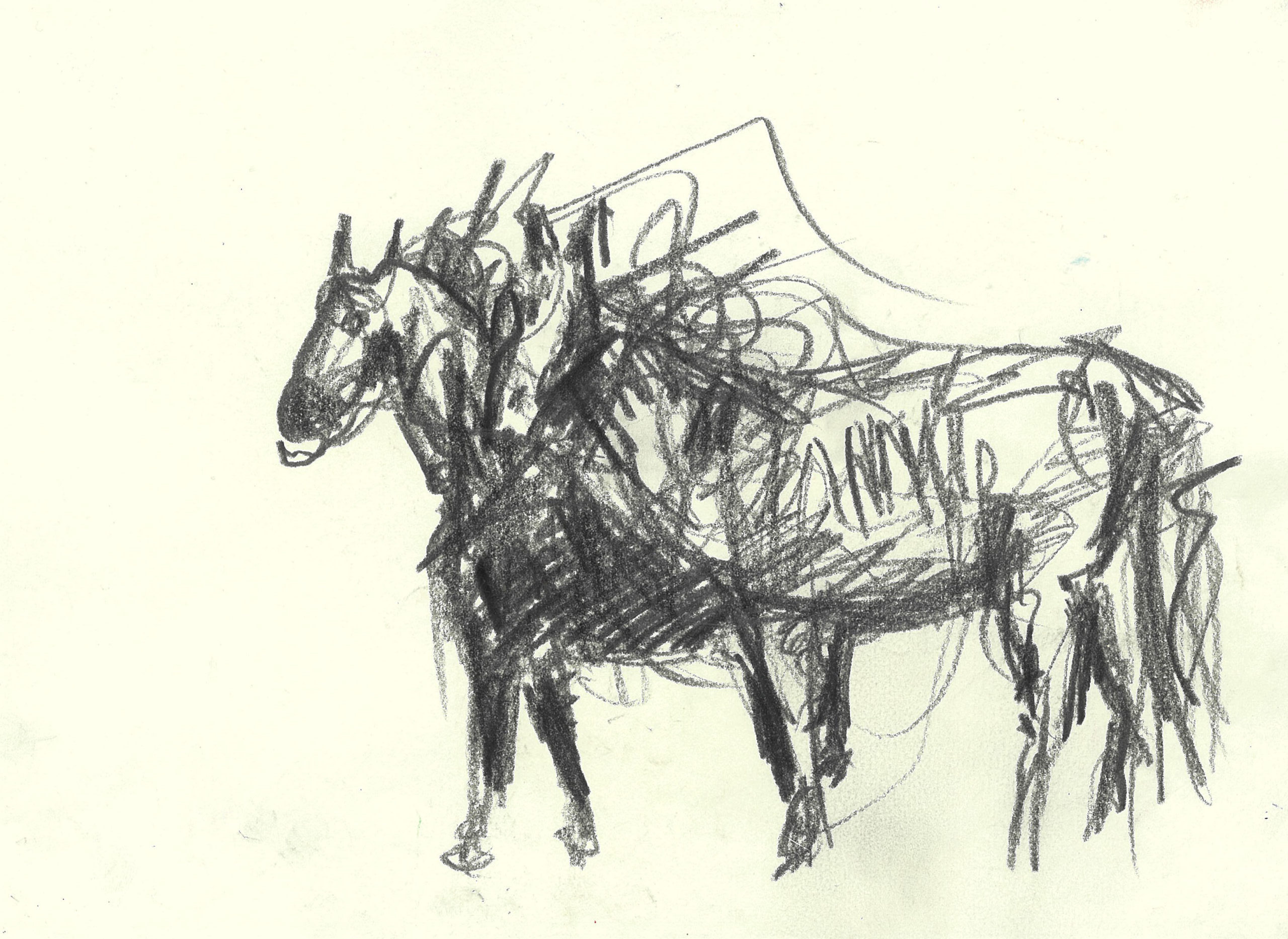 tolga burak fİlİz taramalar sayfa 305 görüntü 0001