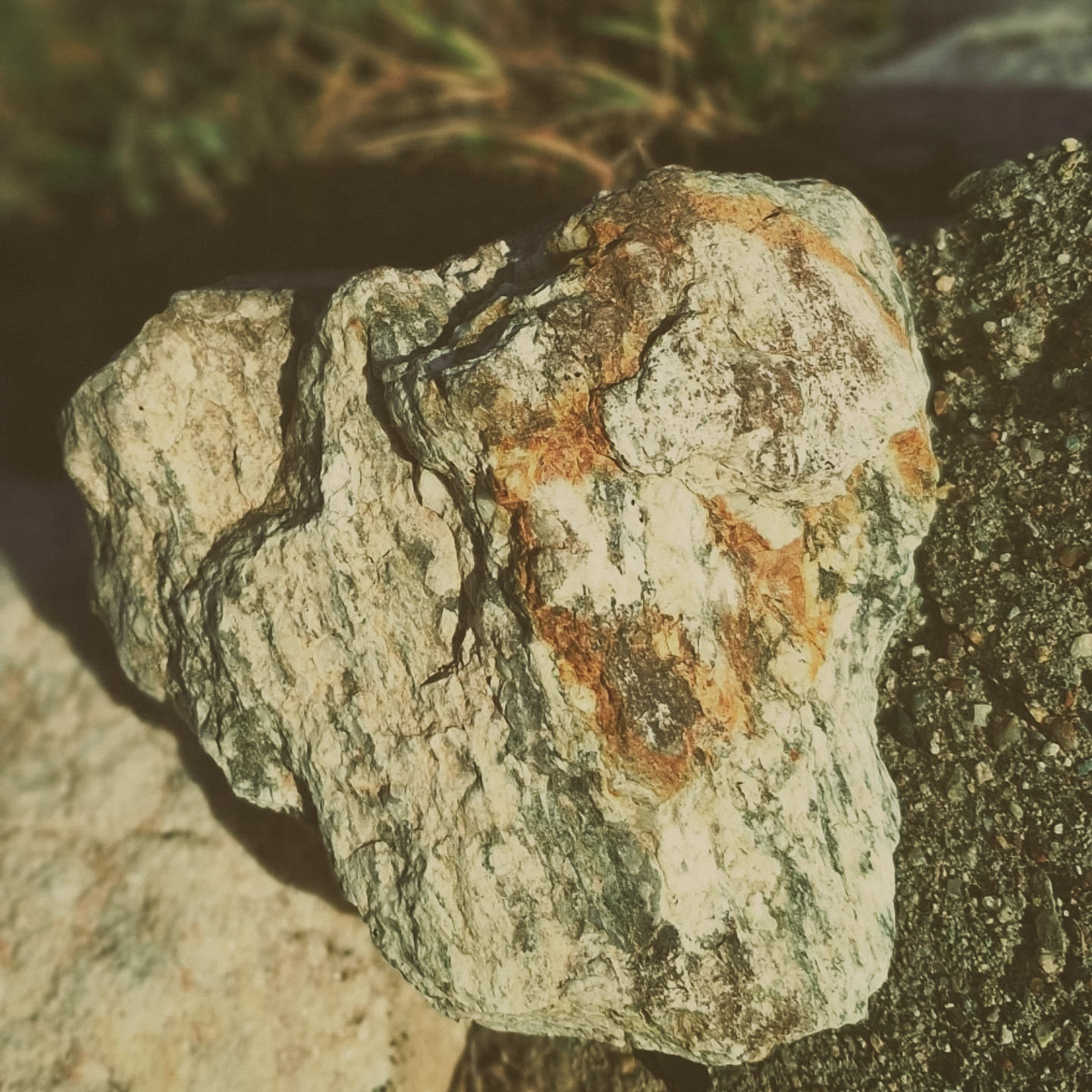 10 whatsapp image 2026 02 16 at 13