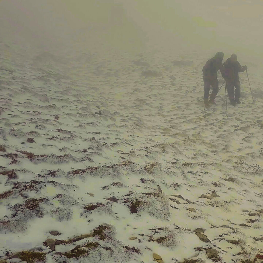 13 whatsapp image 2026 02 16 at 13