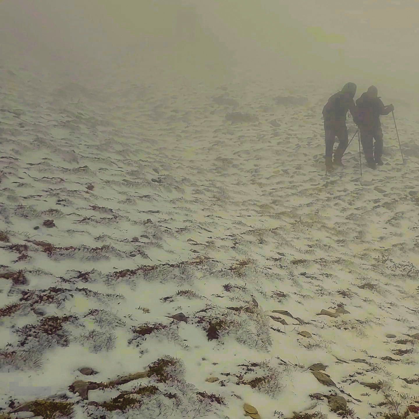 13 whatsapp image 2026 02 16 at 13