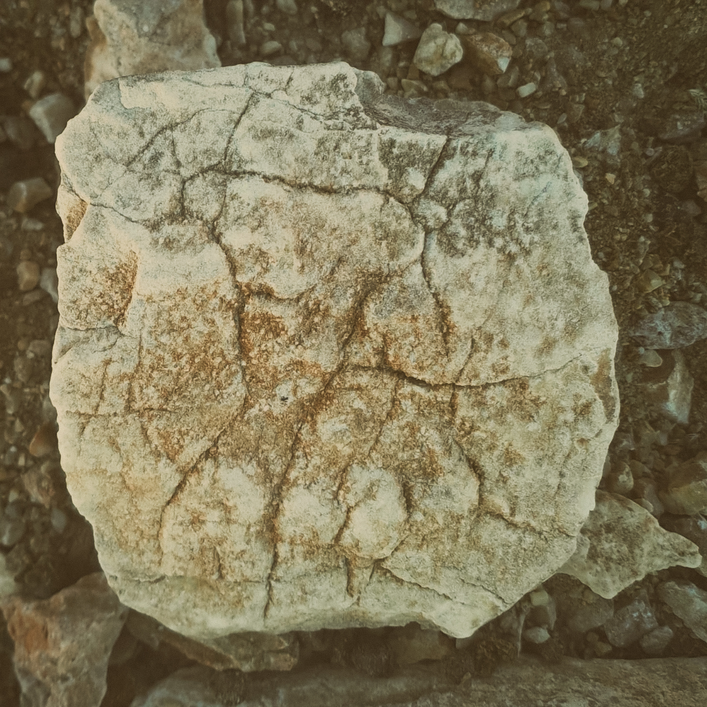 14 whatsapp image 2026 02 16 at 13