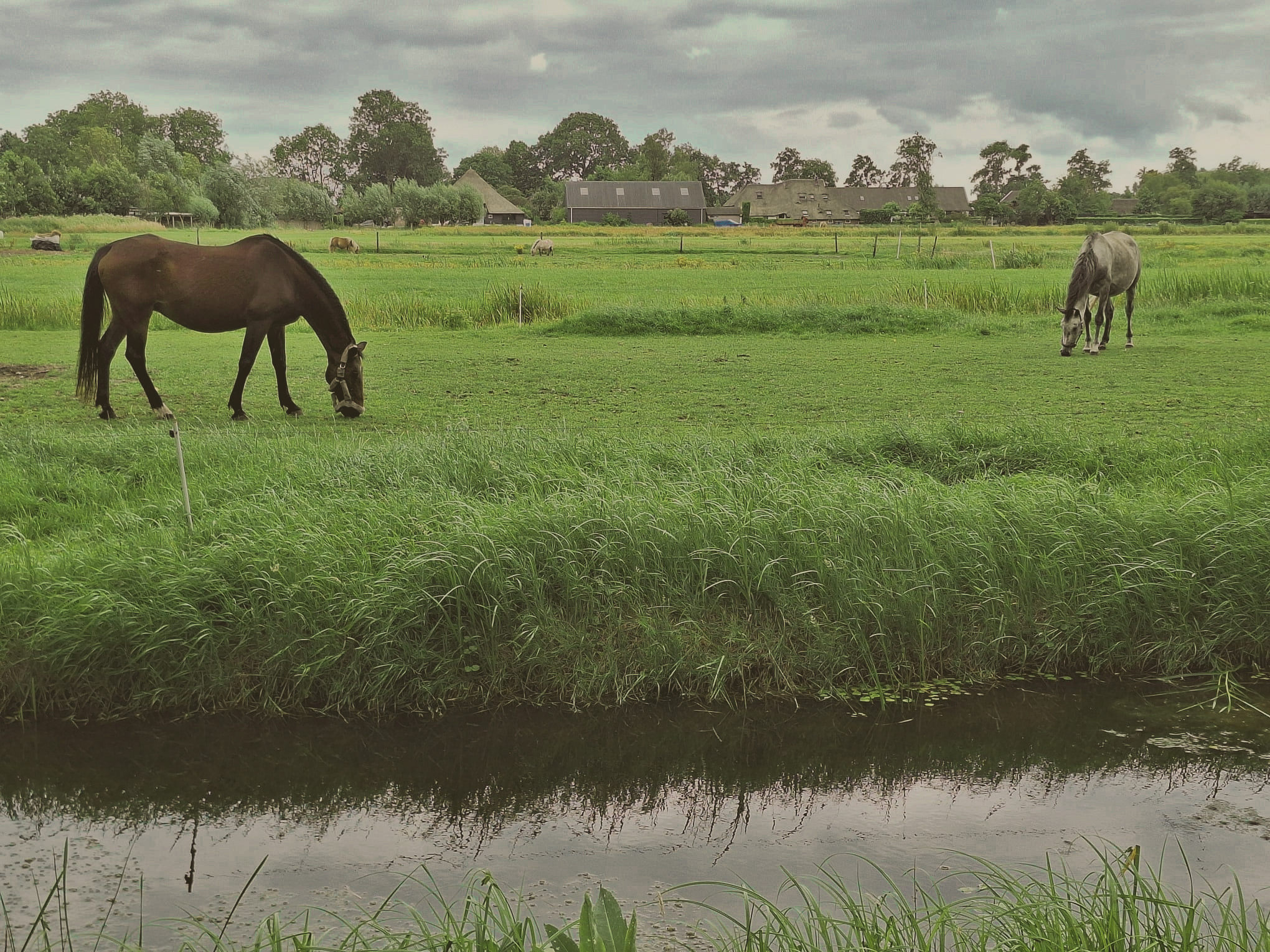 16 whatsapp image 2026 02 16 at 13