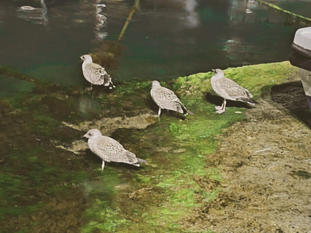 17 whatsapp image 2026 02 16 at 13