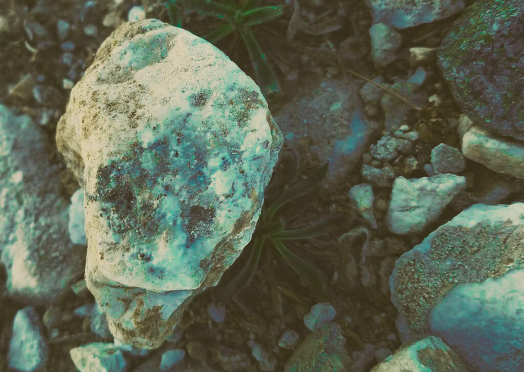 18 whatsapp image 2026 02 16 at 13