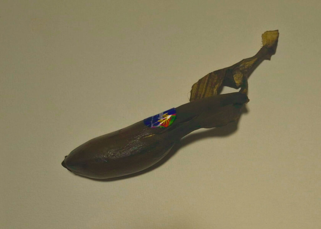 19 whatsapp image 2026 02 16 at 13