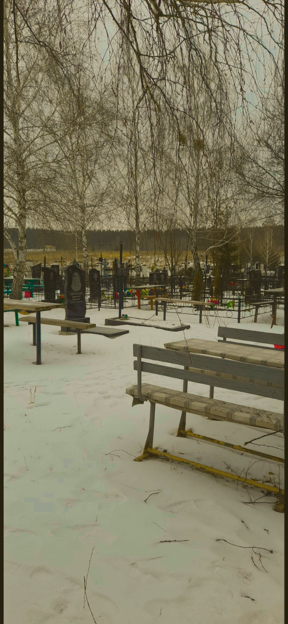 21 whatsapp image 2026 02 16 at 13