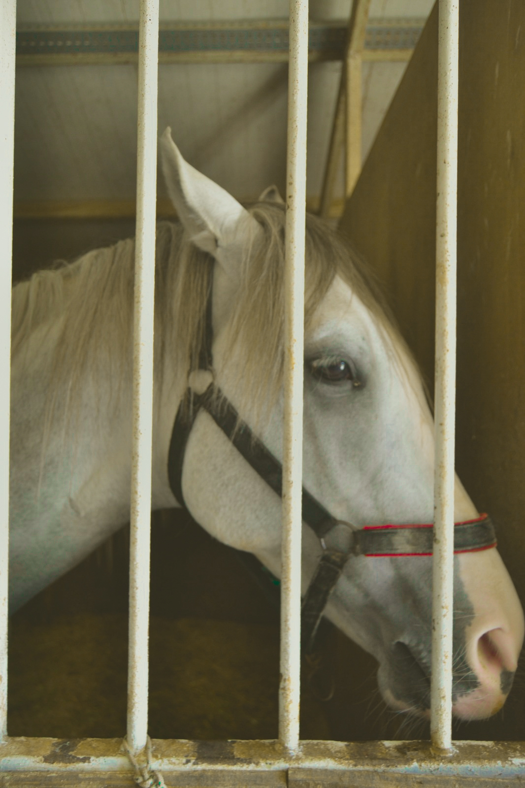 22 whatsapp image 2026 02 16 at 13