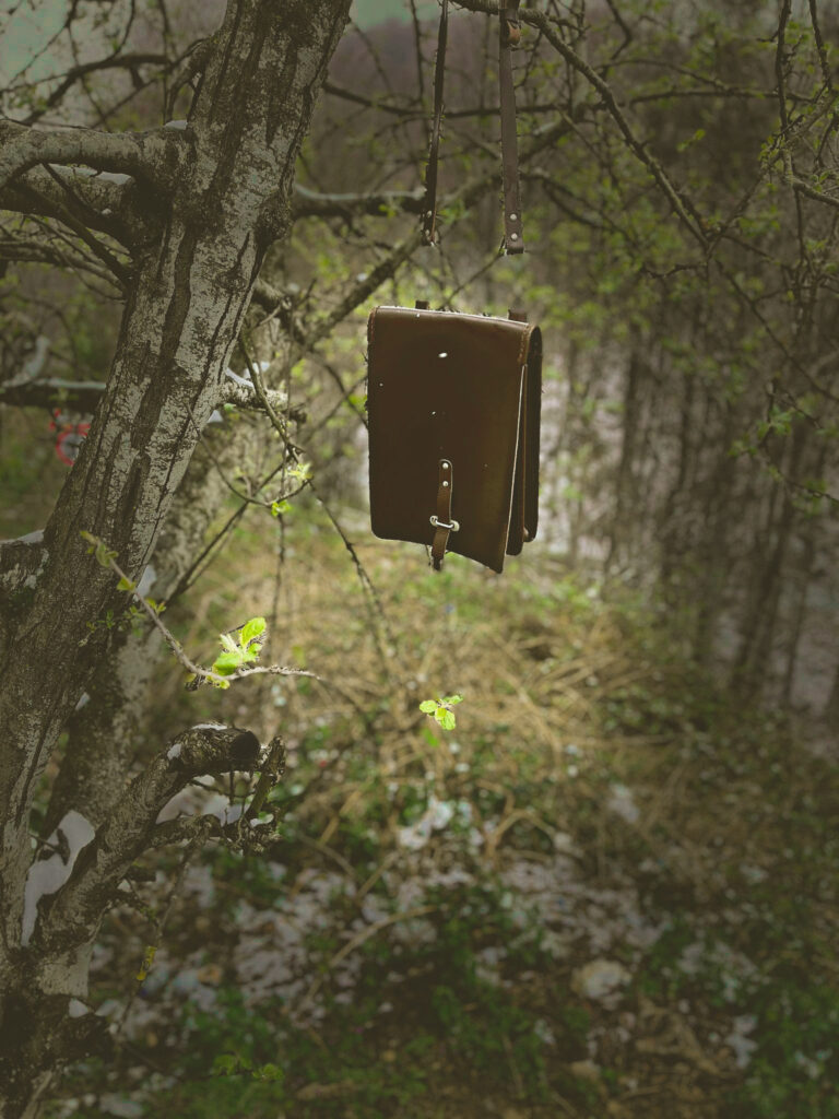 26 whatsapp image 2026 02 16 at 13