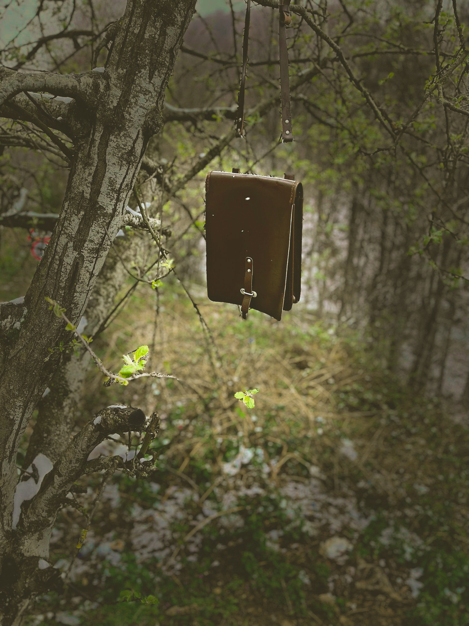 26 whatsapp image 2026 02 16 at 13