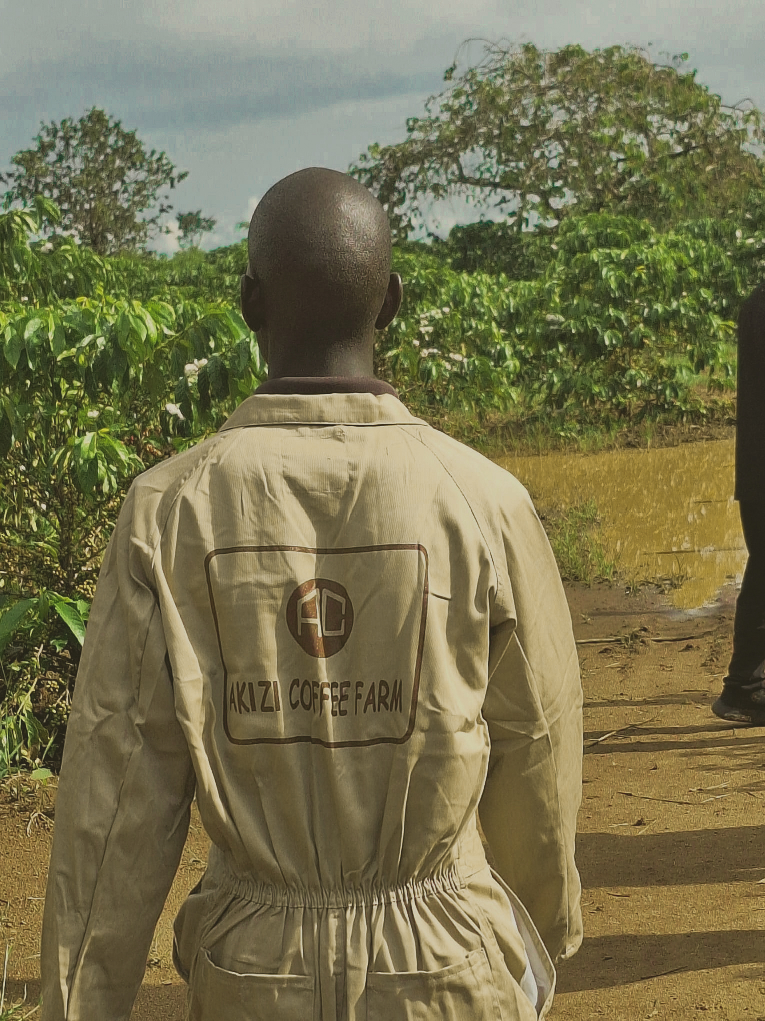 36 whatsapp image 2026 02 16 at 13