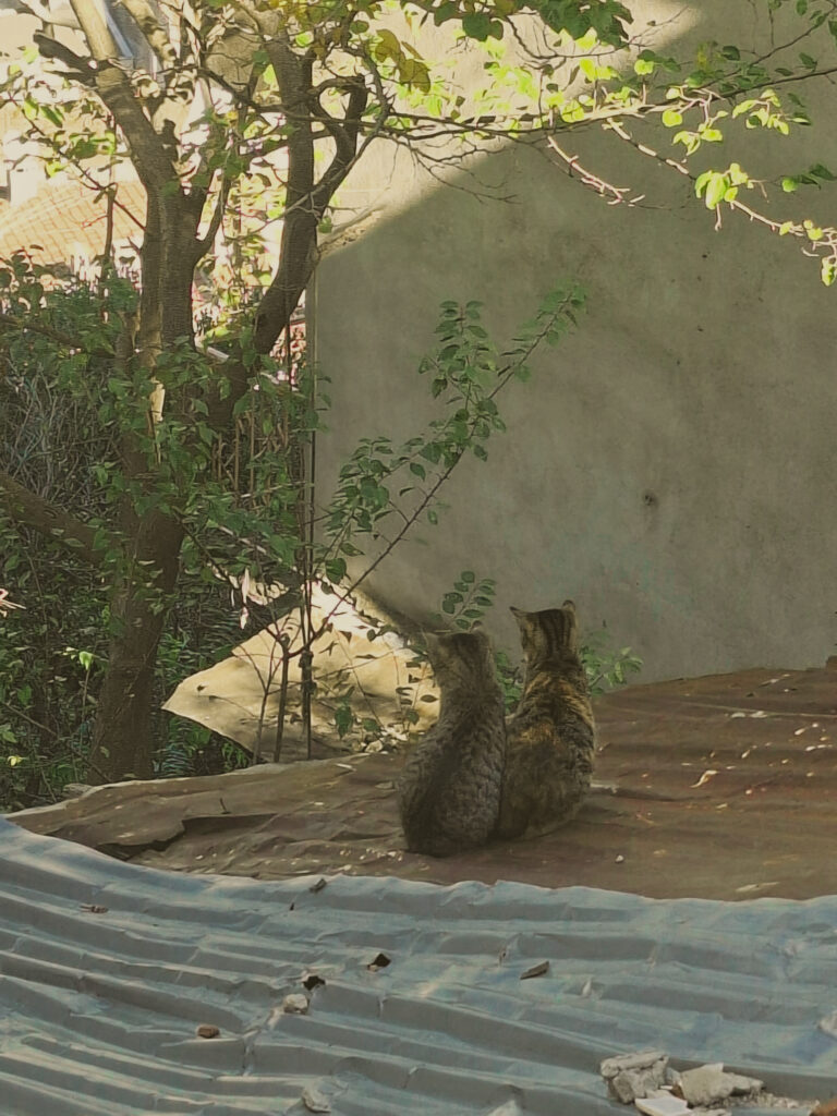 7 whatsapp image 2026 02 16 at 13