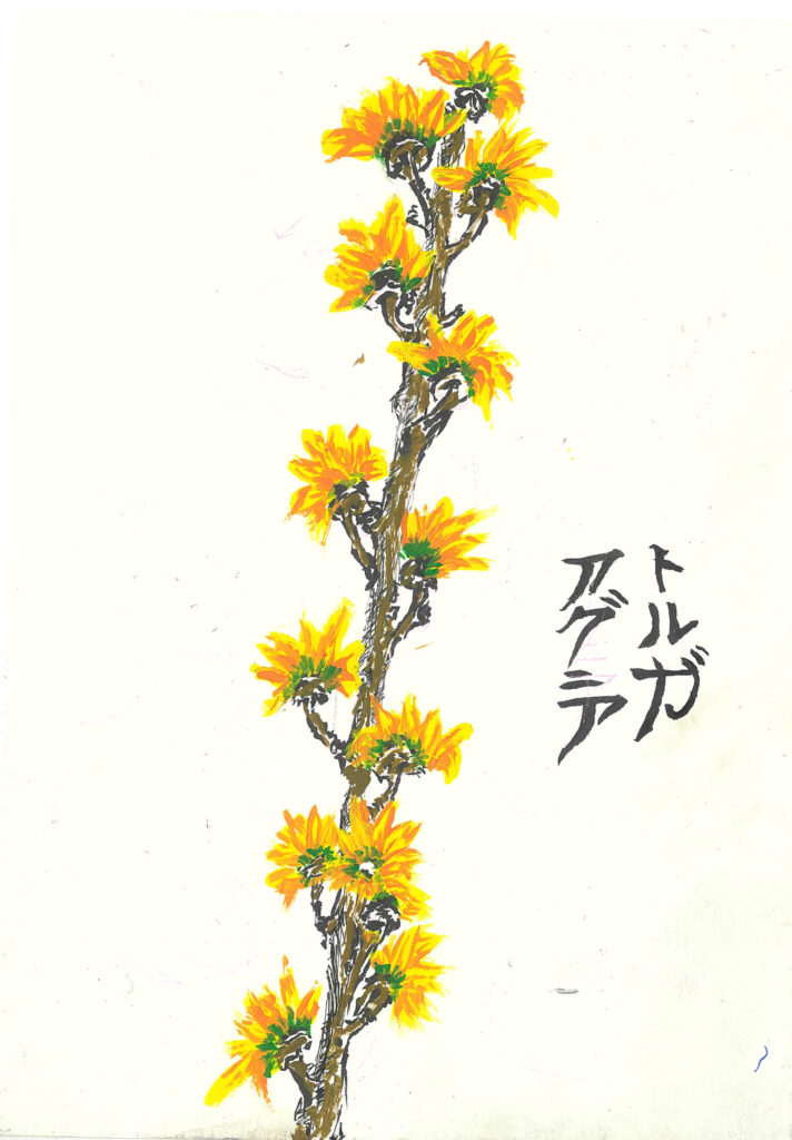 tolga burak fİlİz taramalar sayfa 097 görüntü 0001