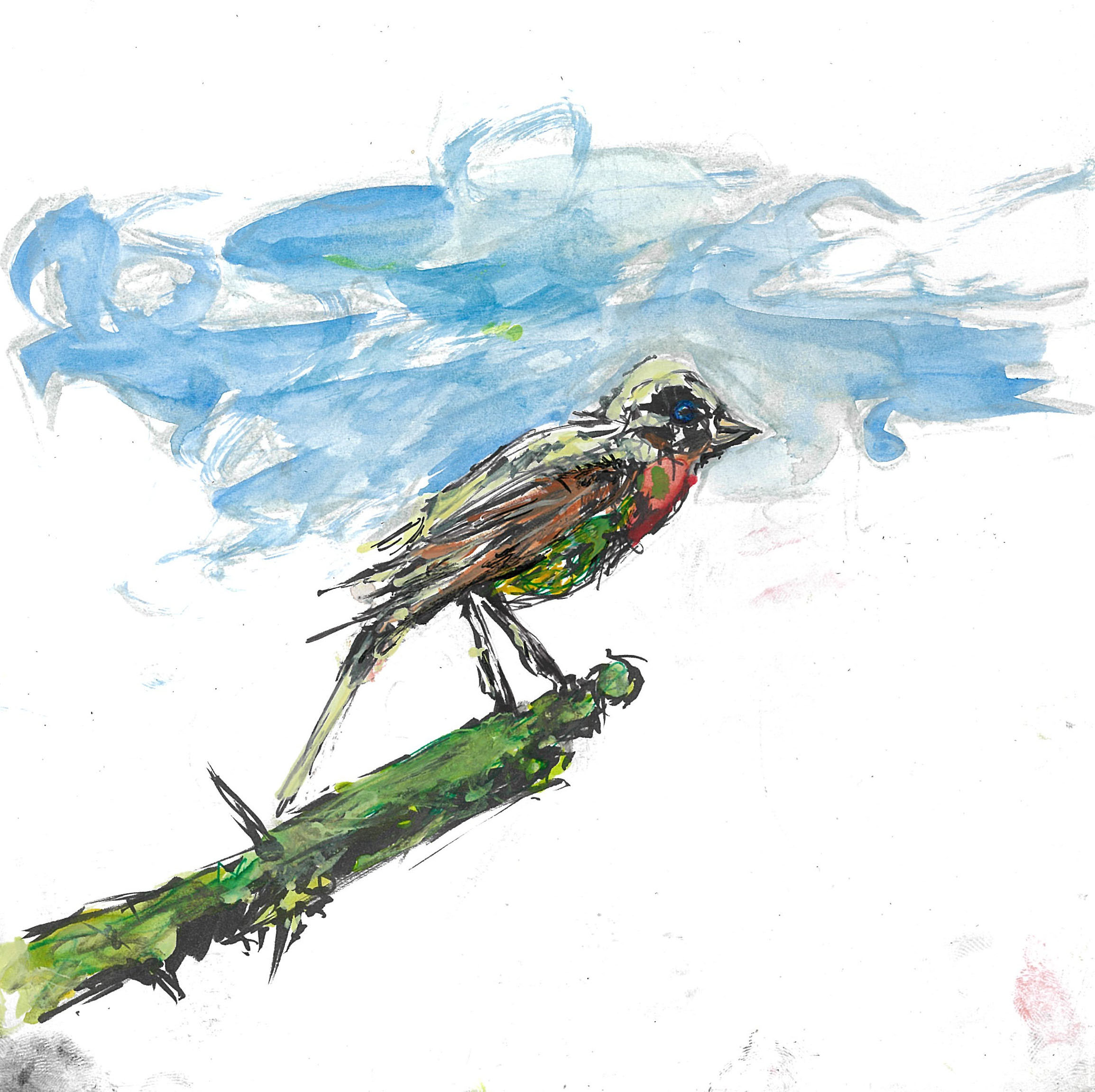 tolga burak fİlİz taramalar sayfa 105 görüntü 0001