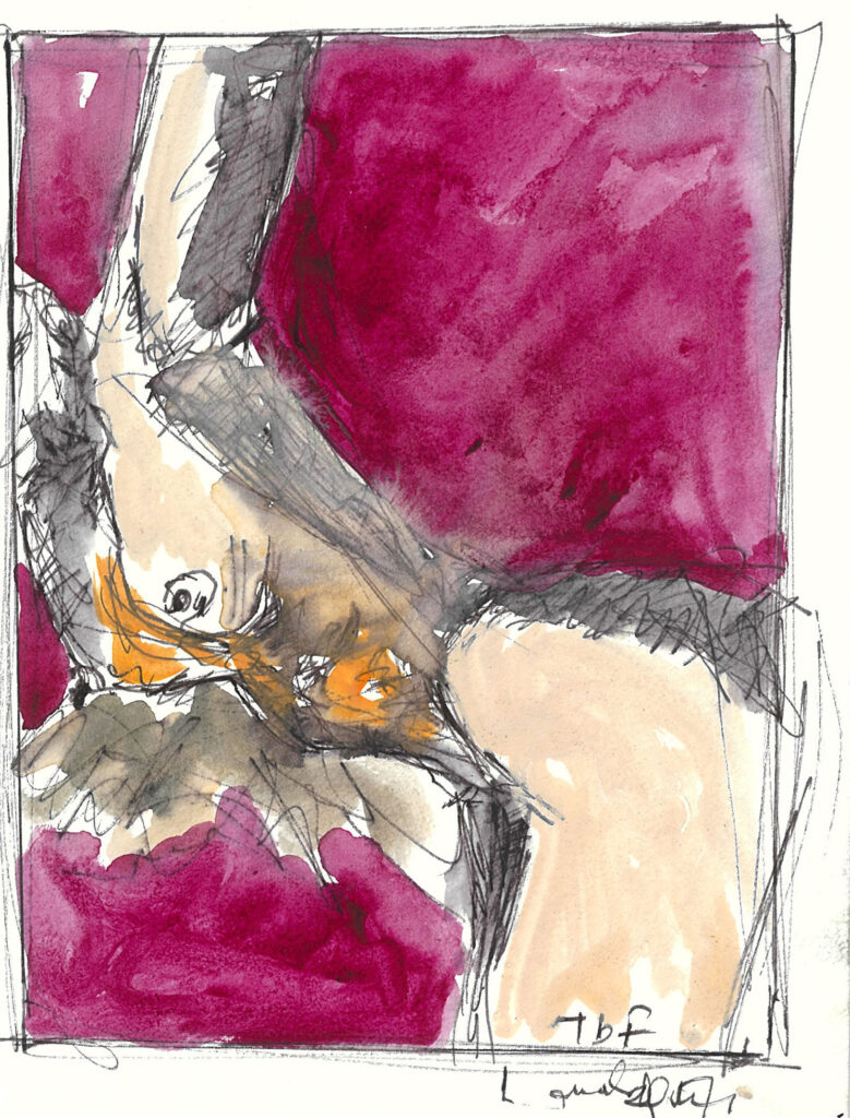 tolga burak fİlİz taramalar sayfa 198 görüntü 0001