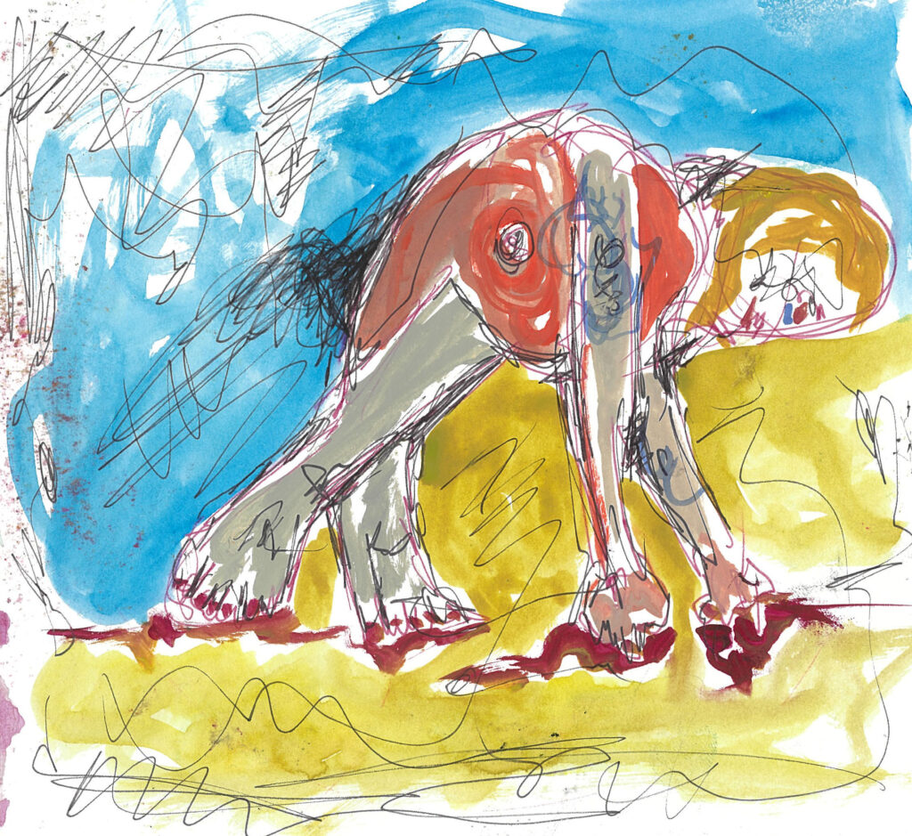 sayfa 215 görüntü 0001