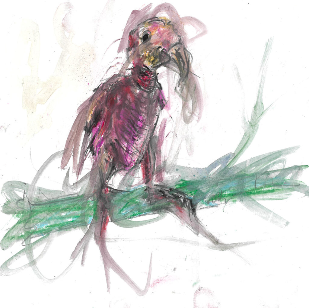 tolga burak fİlİz taramalar sayfa 216 görüntü 0001