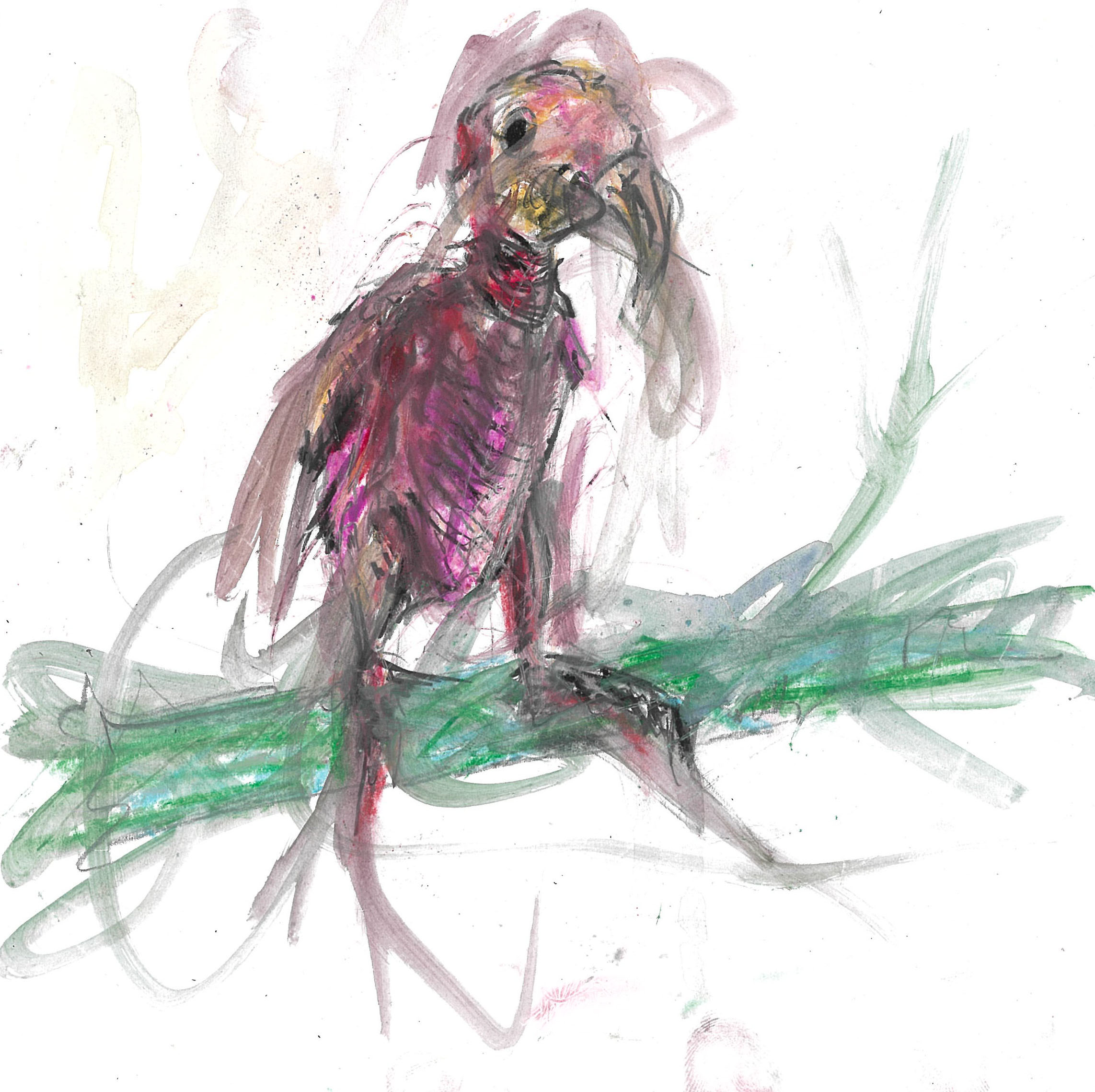 tolga burak fİlİz taramalar sayfa 216 görüntü 0001