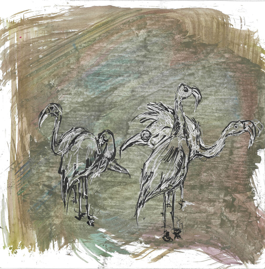 tolga burak fİlİz taramalar sayfa 273 görüntü 0001